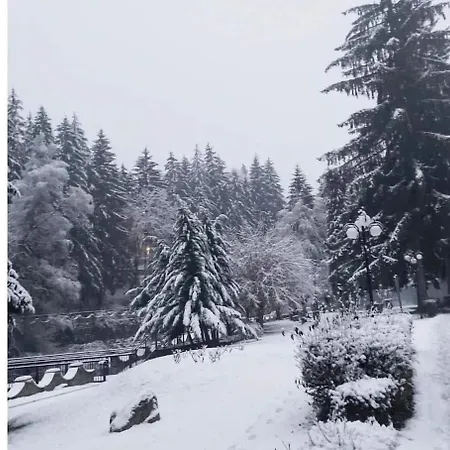 Πανσιόν Nicoleta Băile Olăneşti