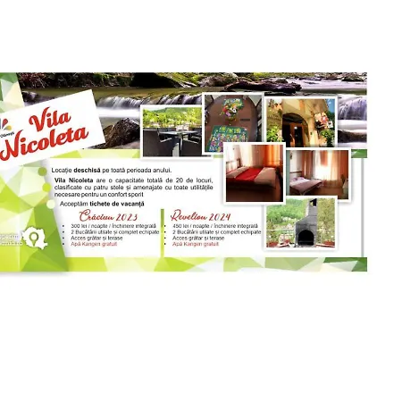 Nicoleta 4* Băile Olăneşti