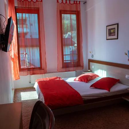 Nicoleta Πανσιόν Băile Olăneşti
