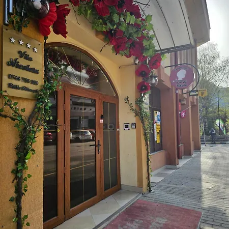 Πανσιόν Nicoleta Băile Olăneşti